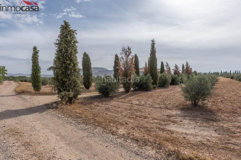 Foto b374f010-9e82-4445-8a78-e96e683c560e. Chalet bienvenido al paraíso de la naturaleza en huescar, granada!!!!!!!!! en Huéscar