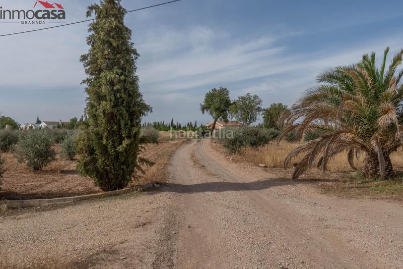 Foto d1e52736-2e2c-4bfb-ba20-3d794f0119d8. Chalet bienvenido al paraíso de la naturaleza en huescar, granada!!!!!!!!! en Huéscar