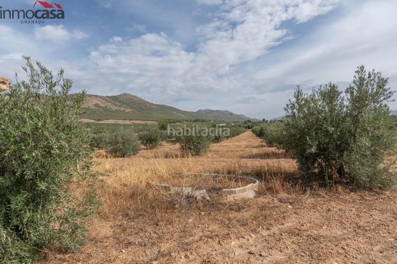 Foto d3e47bfb-4674-4e2a-b2ea-89585023b6c0. Chalet bienvenido al paraíso de la naturaleza en huescar, granada!!!!!!!!! en Huéscar