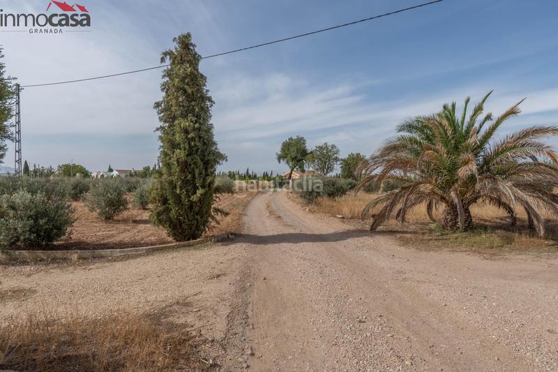 Foto e3b16140-75cf-4cf8-861d-f62cd0592cbe. Chalet bienvenido al paraíso de la naturaleza en huescar, granada!!!!!!!!! en Huéscar