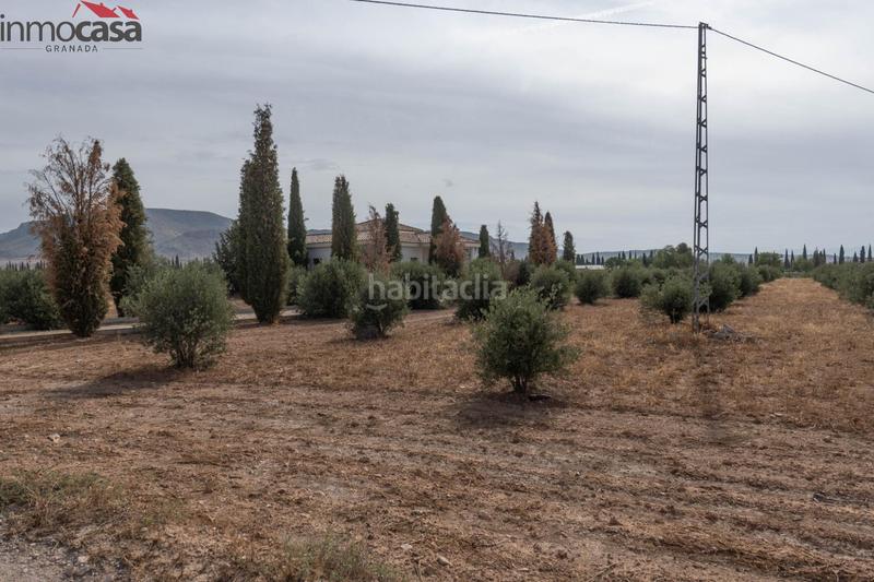 Foto f56a1a05-e417-4aa8-9fda-d606a43667c2. Chalet bienvenido al paraíso de la naturaleza en huescar, granada!!!!!!!!! en Huéscar
