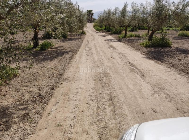 Foto 34b7c405-1524-4dba-85c9-b924d3369e3d. Finca rústica en camino ramal corpas 2 parcela rustica en cullar vega en Cúllar Vega
