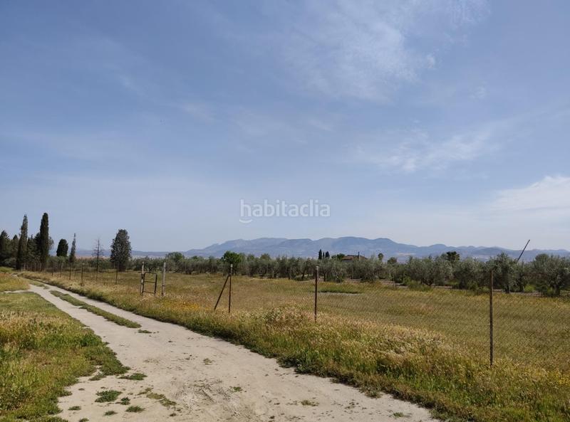 Foto 3d28db4c-34a7-46ef-b7bf-95b21f180b51. Finca rústica en camino ramal corpas 2 parcela rustica en cullar vega en Cúllar Vega