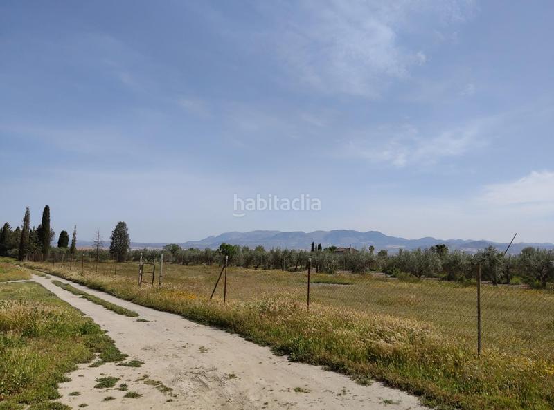 Foto 81f7a690-a20c-4162-bd28-b6cdfe98110f. Finca rústica en camino ramal corpas 2 parcela rustica en cullar vega en Cúllar Vega
