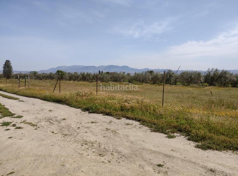 Foto a89130b2-ab47-4af1-a102-84e8e912c6e3. Finca rústica en camino ramal corpas 2 parcela rustica en cullar vega en Cúllar Vega