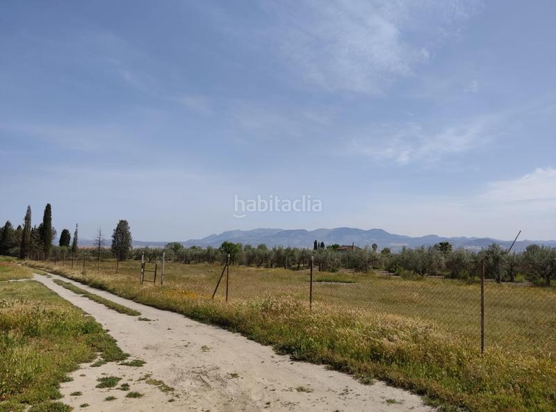 Foto ec14fec8-b8ac-4953-8b5a-9f2470da575c. Finca rústica en camino ramal corpas 2 parcela rustica en cullar vega en Cúllar Vega