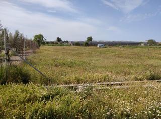 Rural plot  Camino ramal corpas 2. Parcela rustica en cullar vega