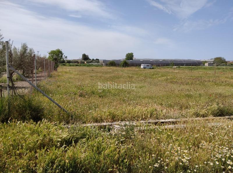 Foto ef940ba8-f0fd-47e3-9d82-b110d16c7b07. Finca rústica en camino ramal corpas 2 parcela rustica en cullar vega en Cúllar Vega