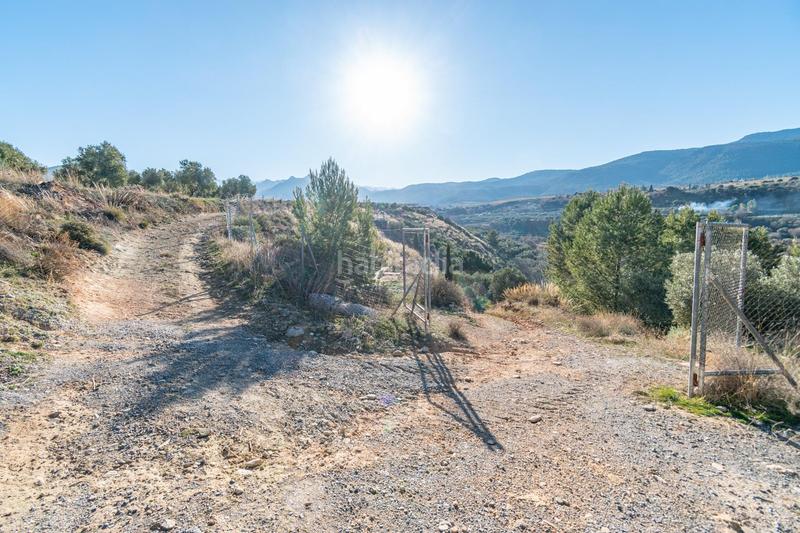 Foto 44b6e60b-d507-4aae-9b62-d2cfabf2c046. Finca rústica en Dílar