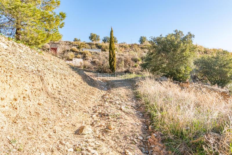Foto 480a2330-7626-408b-9619-7dd004707125. Finca rústica en Dílar
