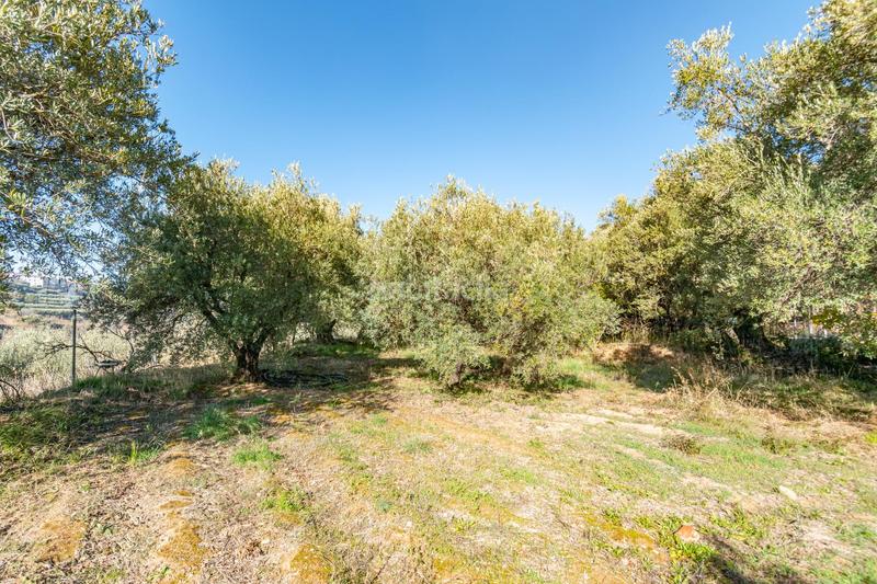 Foto a25e57e0-725d-4822-a32a-7f5a7c05a9e6. Finca rústica en Dílar