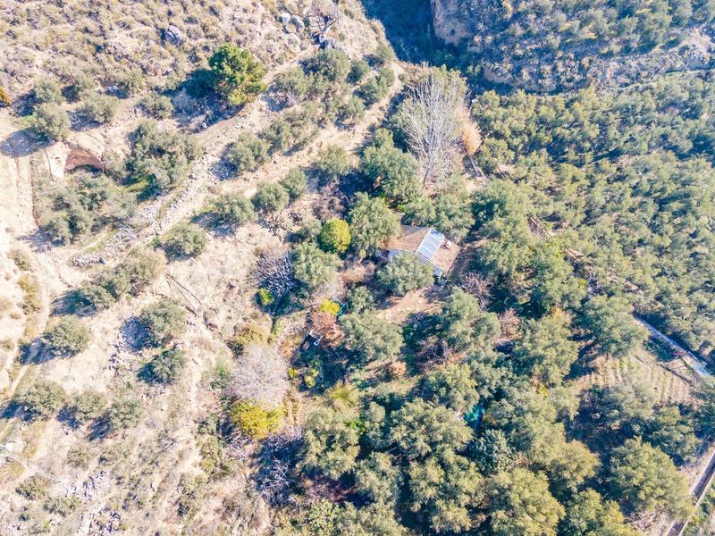 Foto d121cf22-b6fa-49fe-bd50-b38305387e7d. Finca rústica en Dílar