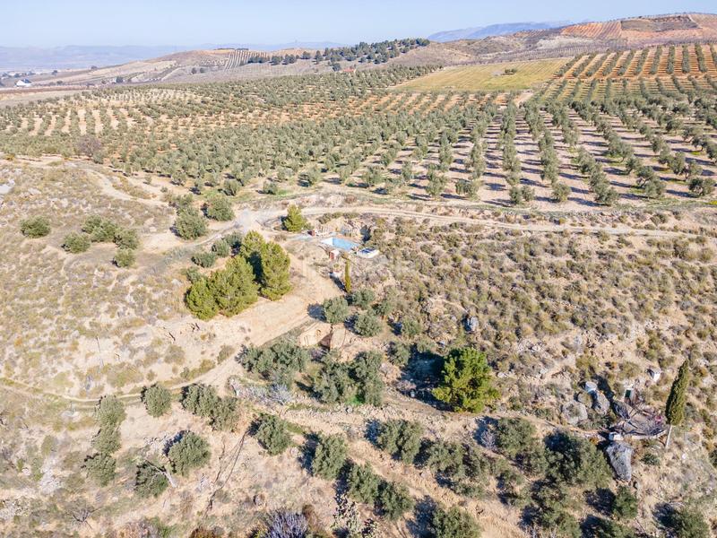 Foto d16a34fa-1a56-4c07-b31e-035b2192d813. Finca rústica en Dílar