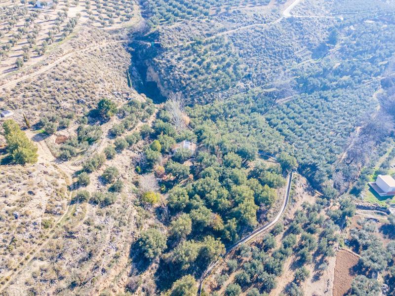 Foto d6754b16-e84c-4547-8102-f874331d2a37. Finca rústica en Dílar