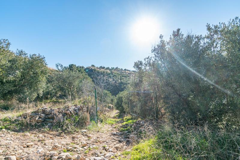 Foto e2aefdec-847b-4077-9a12-874046ebb072. Finca rústica en Dílar