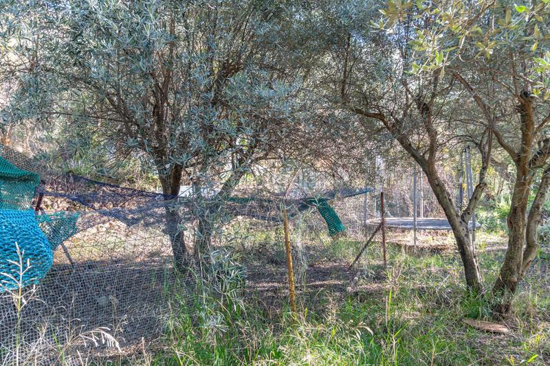 Foto e7048975-f688-4ff3-a159-82554cdfe0a7. Finca rústica en Dílar