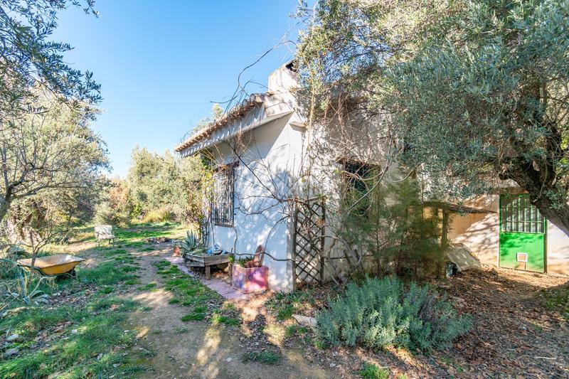 Foto ec891c44-49e8-4409-b629-b1dee5723152. Finca rústica en Dílar