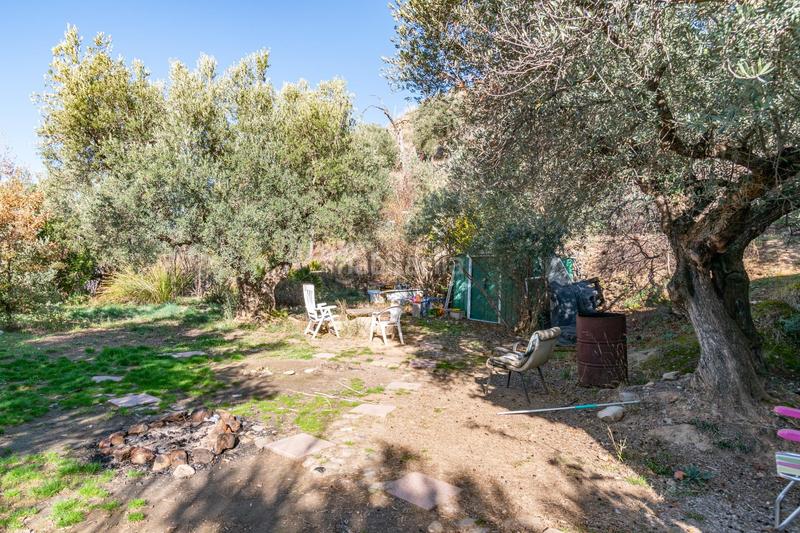 Foto ee1673a4-43a7-42fa-bbda-8a83b9228da8. Finca rústica en Dílar