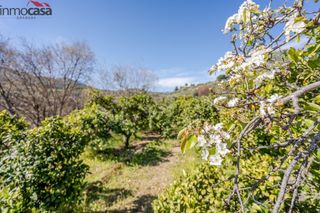 Finca rústica en Lúcar. Terrenito los naranjos a la venta en saleres!!!!!!!!!