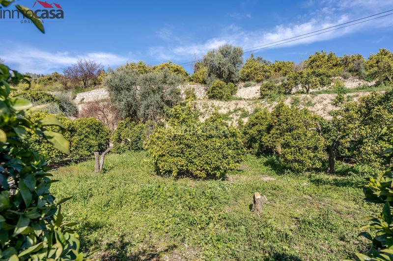 Foto 0c32154f-5cda-4190-b755-1840d1e28100. Finca rústica terrenito los naranjos a la venta en saleres!!!!!!!!! en Lúcar