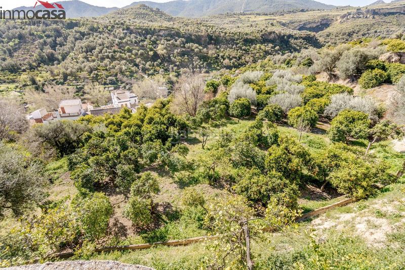 Foto 0cb1684e-4f78-4b59-b03b-5943c53f93b1. Finca rústica terrenito los naranjos a la venta en saleres!!!!!!!!! en Lúcar