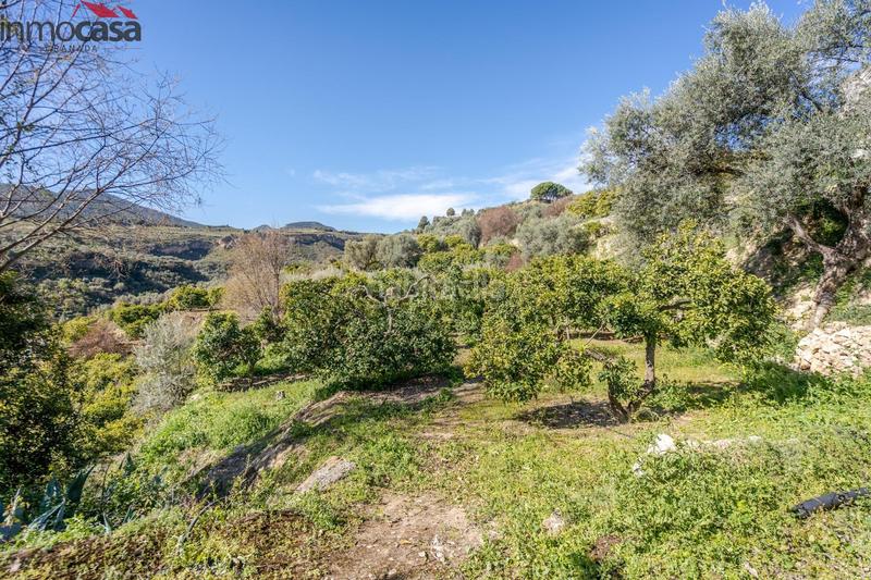 Foto 3d425259-b8b0-4415-a1f4-cd8e884307e6. Finca rústica terrenito los naranjos a la venta en saleres!!!!!!!!! en Lúcar