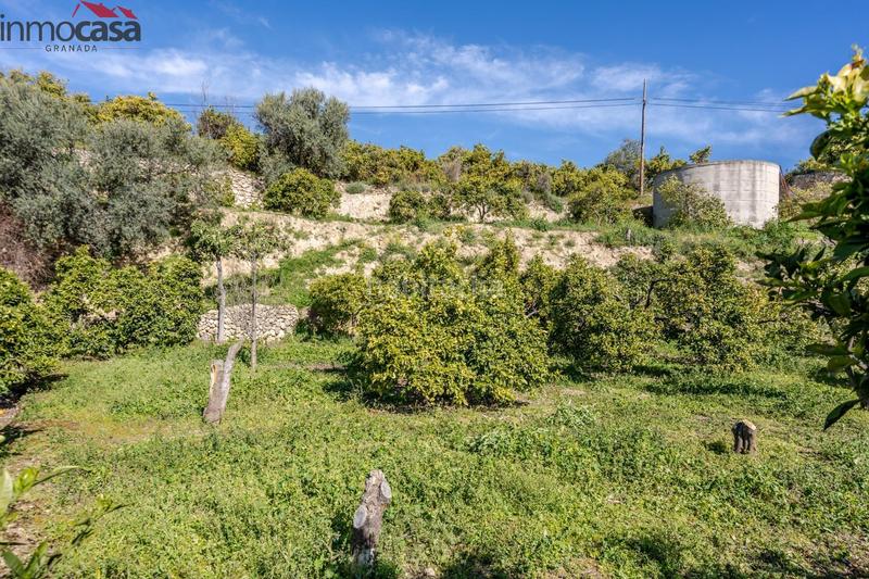 Foto 69ac93f0-711e-4ee7-834c-27fc3c495da9. Finca rústica terrenito los naranjos a la venta en saleres!!!!!!!!! en Lúcar