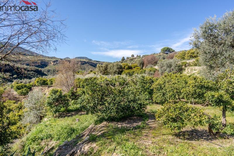 Foto 6a971b12-fa50-4645-aac0-a1fba67168ae. Finca rústica terrenito los naranjos a la venta en saleres!!!!!!!!! en Lúcar