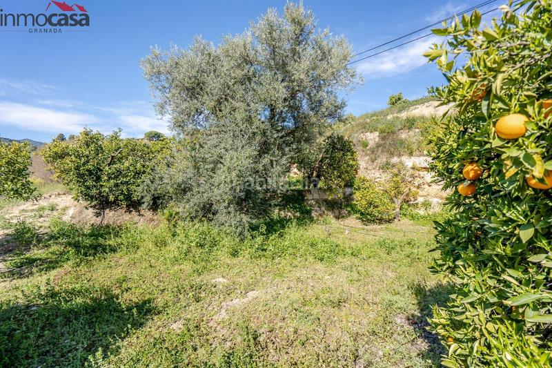Foto c6d28567-4cc1-4898-967a-81d5bba1c3e9. Finca rústica terrenito los naranjos a la venta en saleres!!!!!!!!! en Lúcar
