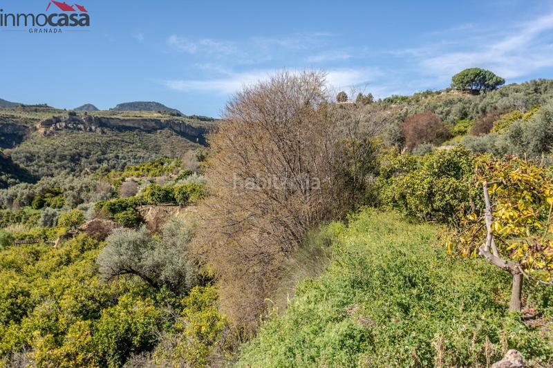 Foto ed4ec273-5a58-4791-8a8d-bef4fecfedcf. Finca rústica terrenito los naranjos a la venta en saleres!!!!!!!!! en Lúcar