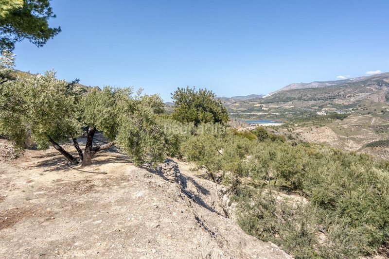 Foto d79f2874-f204-46e9-95da-a8246b5e2eec. Finca rústica a Pinar (El)
