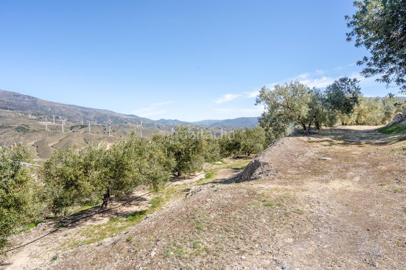 Foto e1568ea8-356a-442a-824a-eb8c13e9bfd0. Finca rústica a Pinar (El)