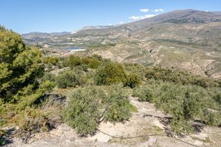 Landgut in Pinar (El). Terreno rústico en pinos del valle
