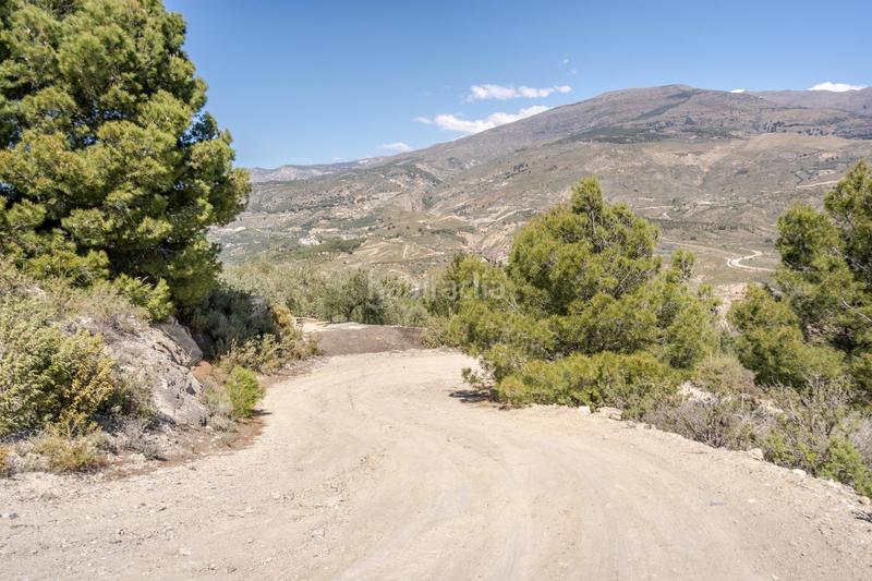 Foto 1beafafd-2155-4ff4-be15-c1c8d93015aa. Finca rústica a Pinar (El)