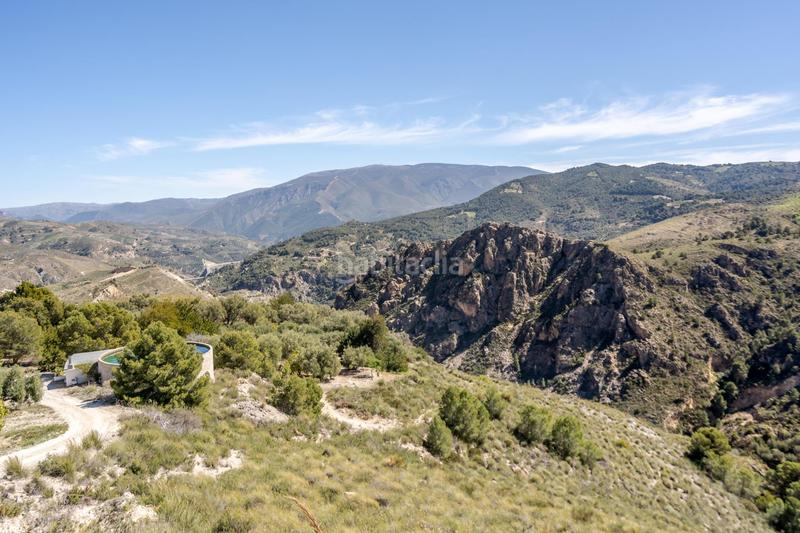 Foto 727a7901-0a67-404d-8d17-6e99f6f72891. Finca rústica a Pinar (El)