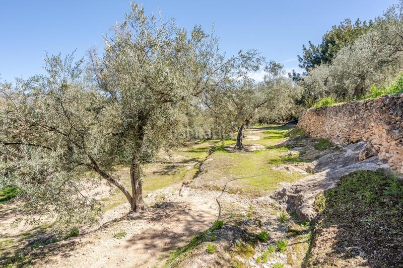 Foto a5bd122e-981a-4670-b760-d91f5eb66430. Finca rústica a Pinar (El)