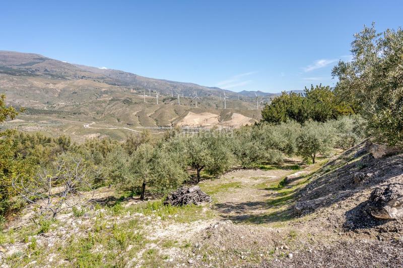 Foto ef95474b-6c45-4286-8388-0926884acd74. Finca rústica a Pinar (El)