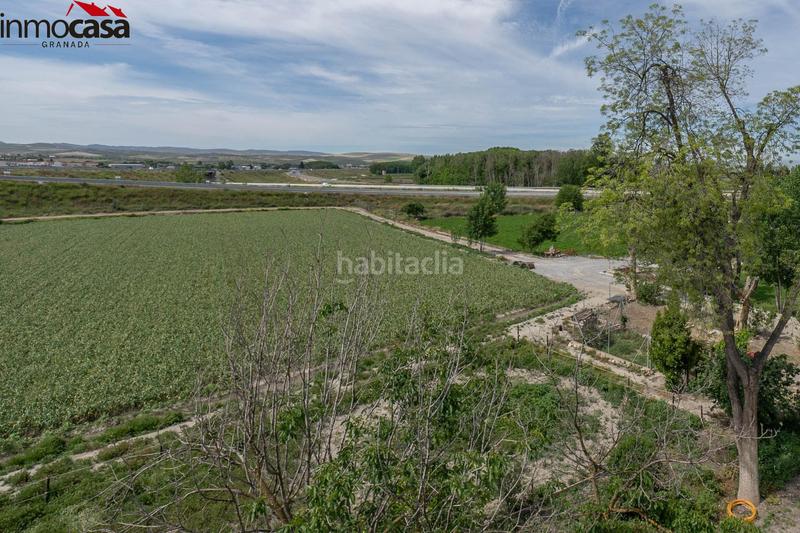 Foto 3129c777-3a2f-4435-ad04-699578a60459. Chalet increíble oportunidad! cortijo en venta en vega de granada, ! en Santa Fe