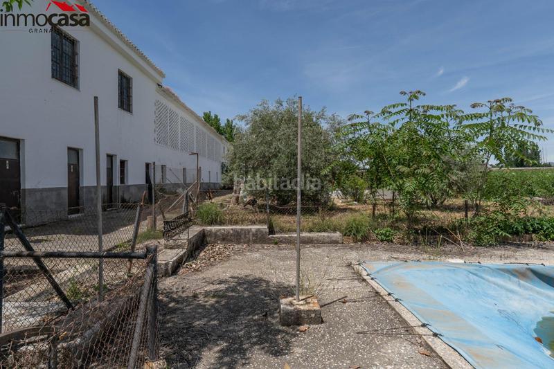 Foto d36216d7-8926-4728-a2a8-1c878e0766f5. Chalet increíble oportunidad! cortijo en venta en vega de granada, ! en Santa Fe