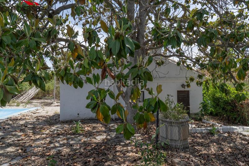 Foto ddd96c84-aab5-41fd-bccd-8bfabbf868d2. Chalet increíble oportunidad! cortijo en venta en vega de granada, ! en Santa Fe
