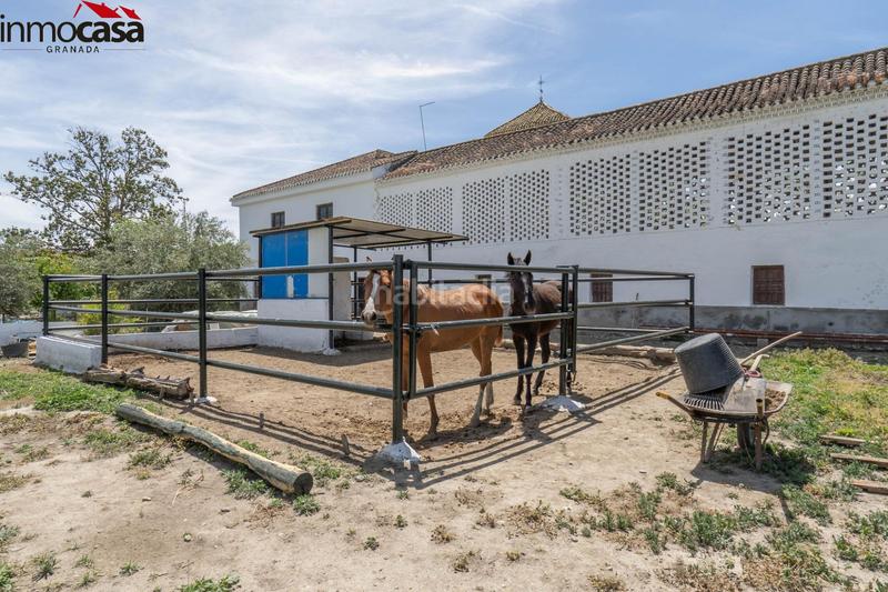 Foto de6e23e7-905a-485e-8cd6-1a75e0bcecc9. Chalet increíble oportunidad! cortijo en venta en vega de granada, ! en Santa Fe