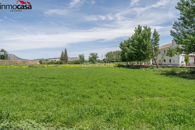 Foto ecaeb8a8-0a40-4263-8c04-47ca16f949e6. Chalet increíble oportunidad! cortijo en venta en vega de granada, ! en Santa Fe