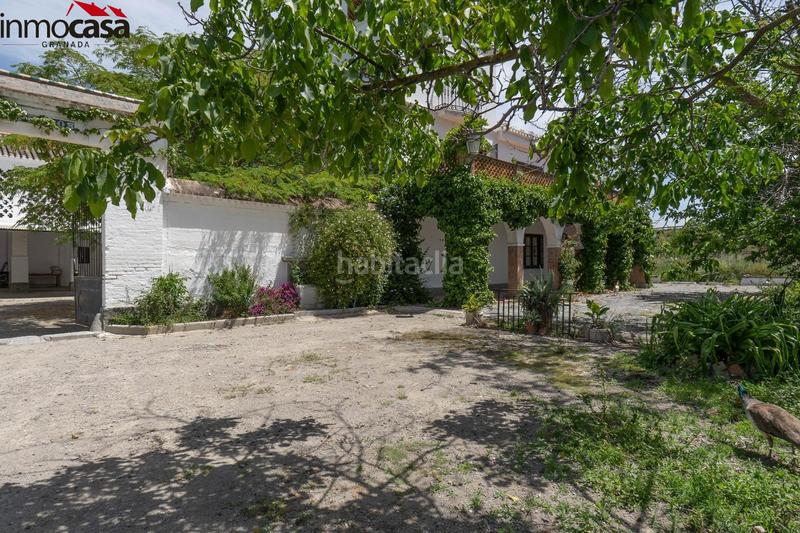 Foto f16ef128-4066-4fce-a443-c5374fdbe98c. Chalet increíble oportunidad! cortijo en venta en vega de granada, ! en Santa Fe