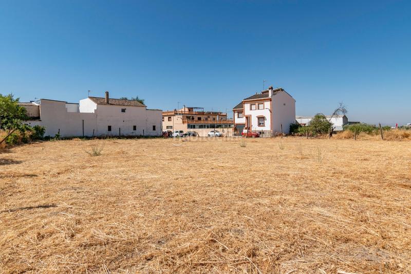 Foto 250204a3-fc16-4803-8a3f-97b9e325e055. Terrain résidentiel dans Pulianas