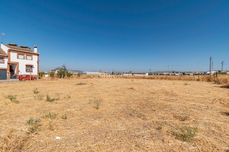 Foto 528d82c3-d005-4d06-821b-c90a08f7b071. Terrain résidentiel dans Pulianas