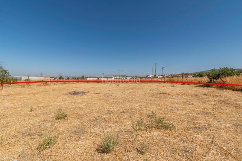 Foto cce913be-b618-4a37-948c-630bca07b269. Terrain résidentiel dans Pulianas