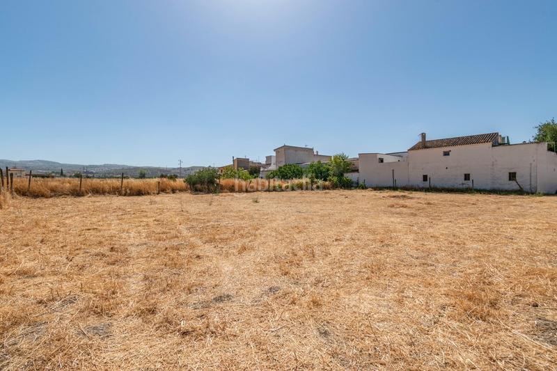 Foto f466f773-2774-433a-9457-ba53565b2b18. Terrain résidentiel dans Pulianas