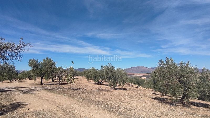 Foto c5adc97b-8e79-4c9d-9e95-fa59a6e5a411. Landgut in polígono diseminados 0 in Albolote