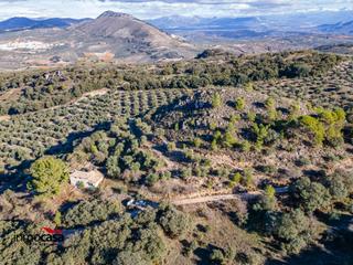 Chalet  Polígono íllora. Oportunidad en íllora granada cortijo para reformar con 13.688 m