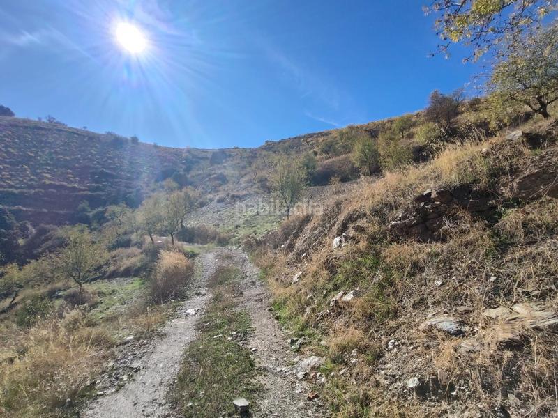 Foto 0452eb29-be84-4231-9595-4d354f62bdf0. Rural plot in Cástaras